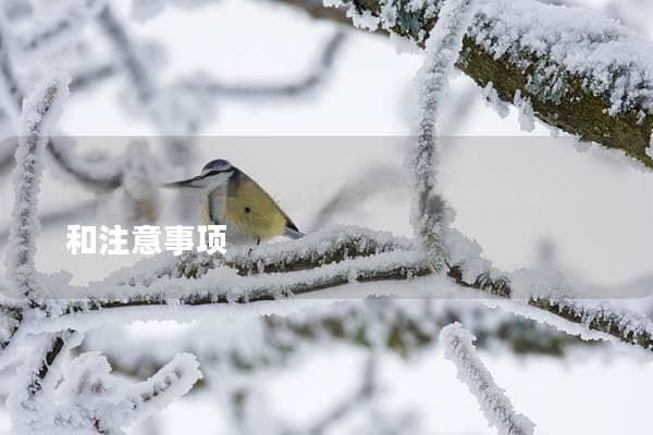 牡丹鹦鹉多久下蛋？了解其繁殖周期和注意事项