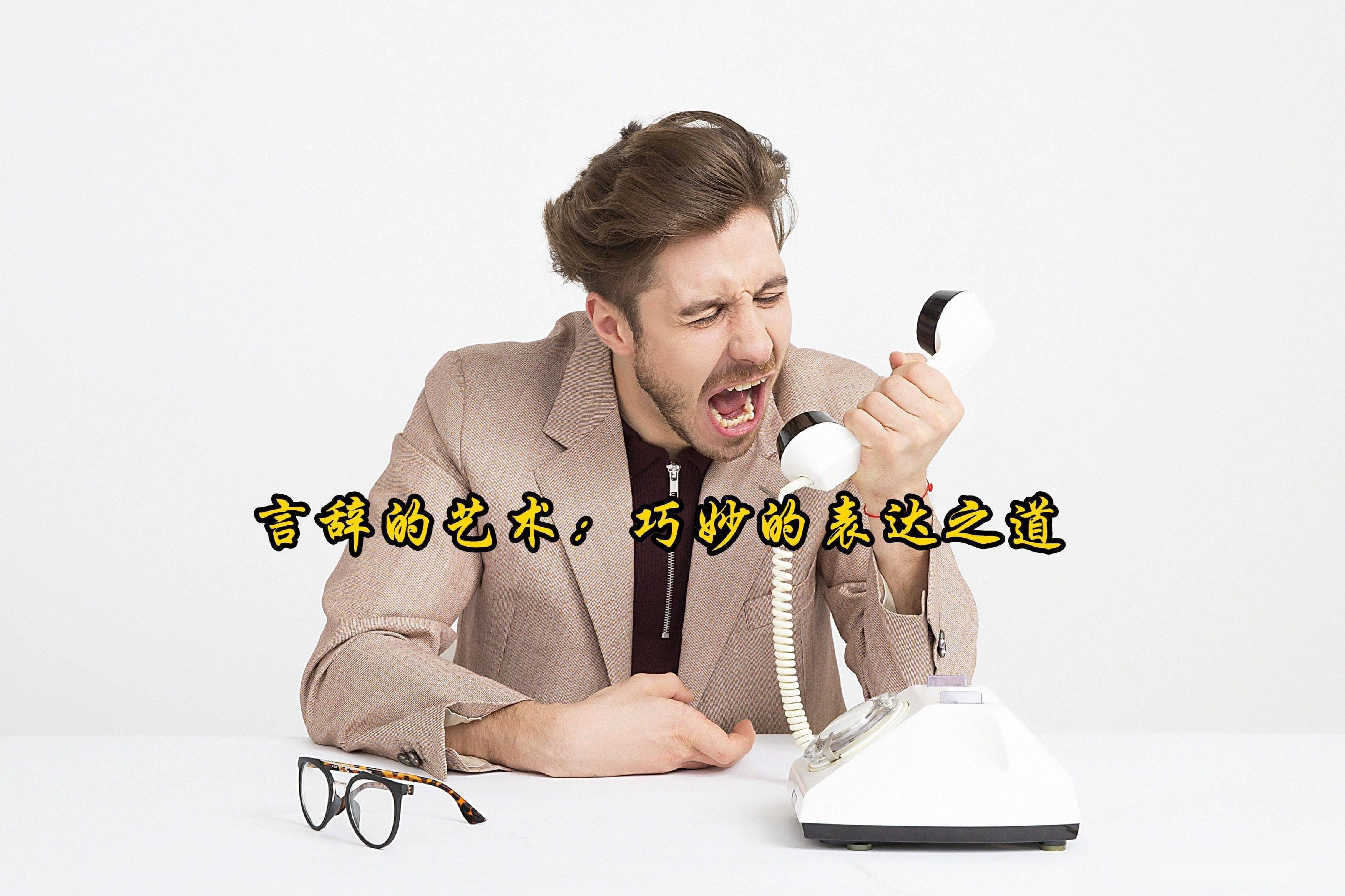 言辞的艺术：巧妙的表达之道