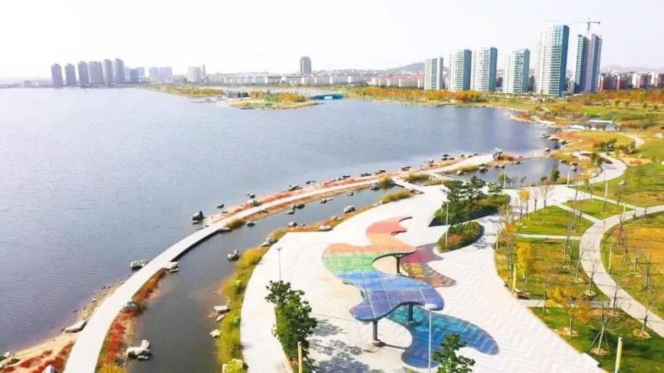 威海修复滨海湿地千余公顷，打造全国首个海带碳汇标准