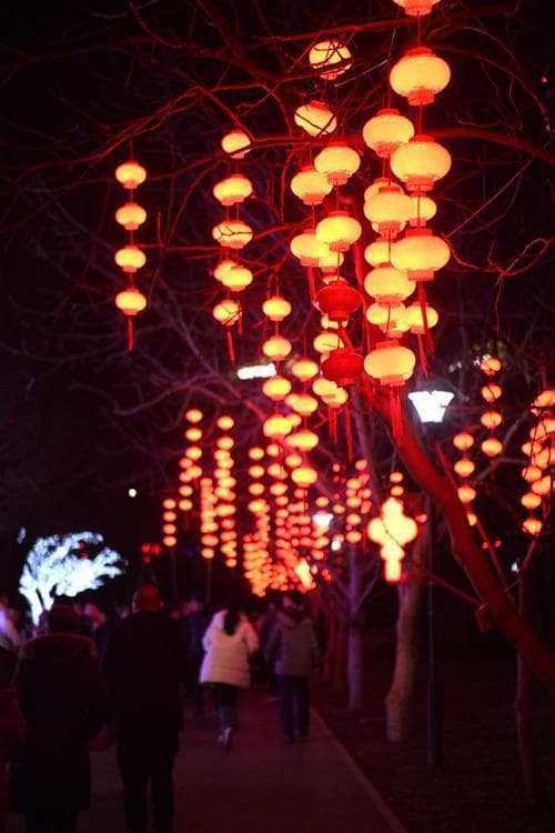 春节的故事：中国新年习俗的历史与演变