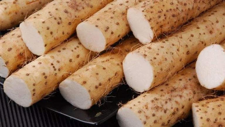 白山药的功效与作用、禁忌和食用方法