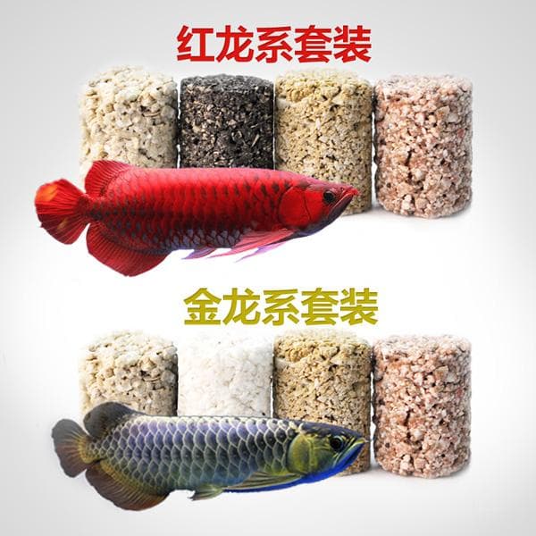 如何科学选择和搭配龙鱼缸过滤系统以确保水质和龙鱼健康