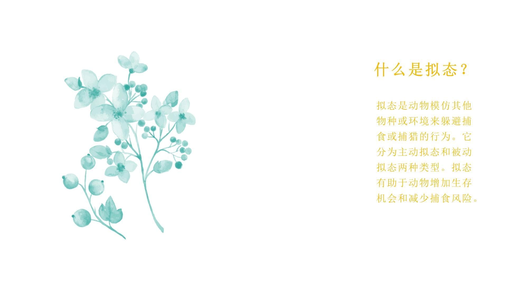动物的拟态与自卫机制