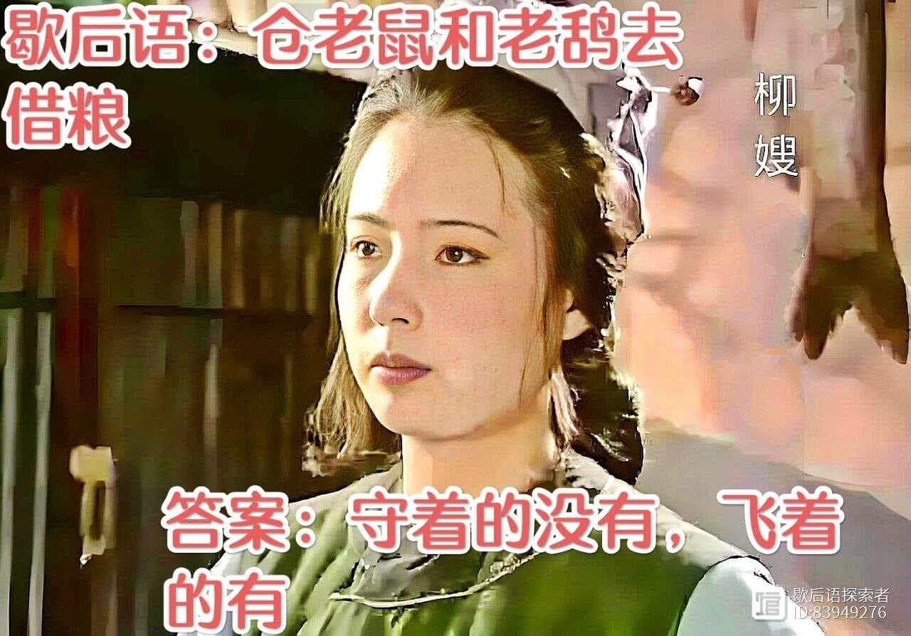 【红楼梦歇后语】仓老鼠和老鸹去借粮——守着的没有，飞着的有