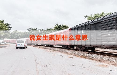 说女生飒是什么意思：深度解读现代女性魅力新标签