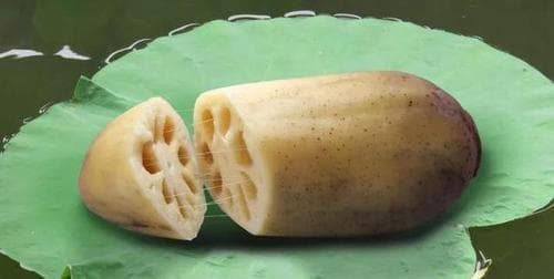 莲藕的象征意义与寓意（探索莲藕的文化内涵与精神追求）