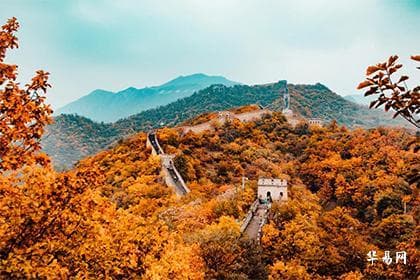 忌神三刑是好是灾,日支为忌神可不可以冲