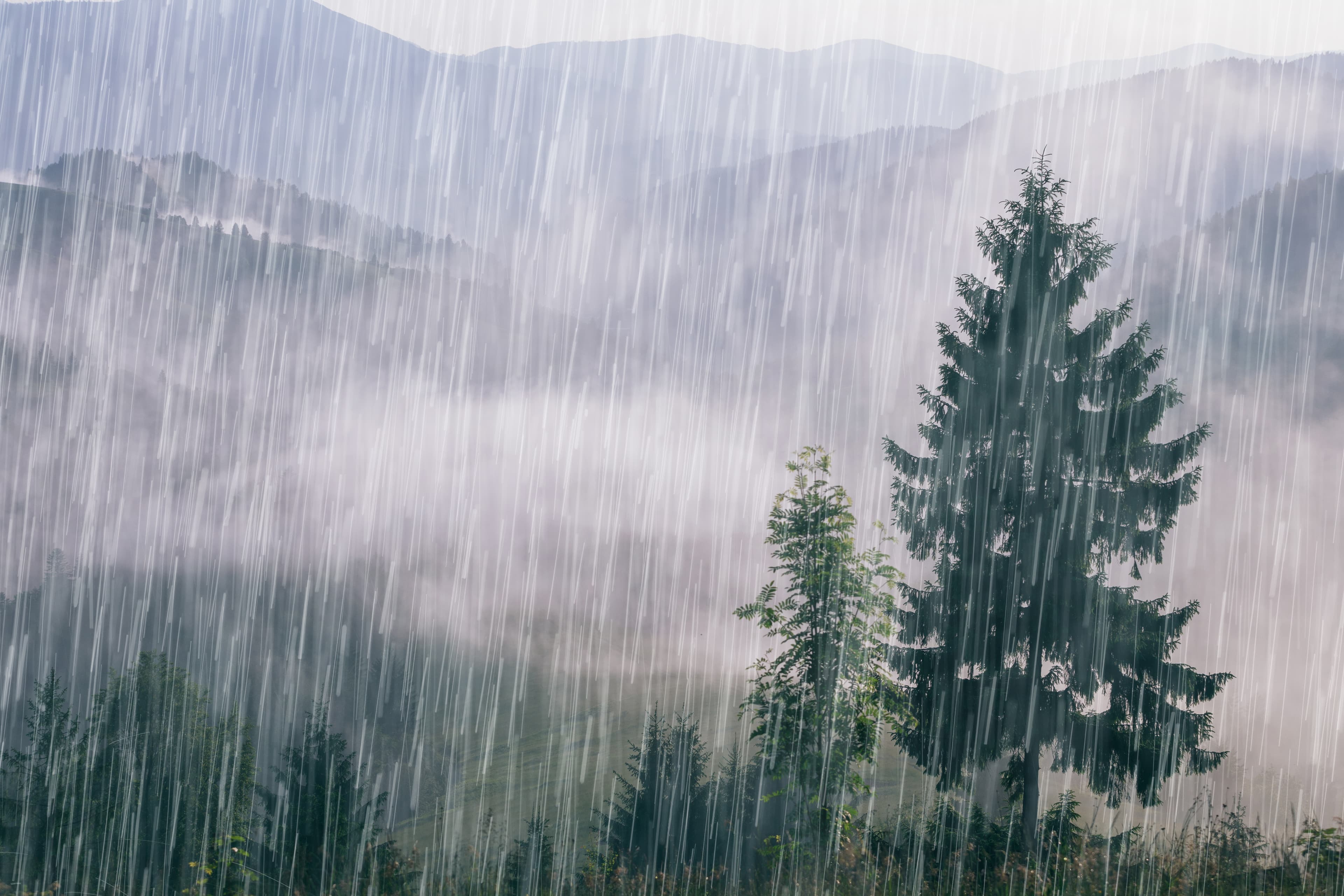 全球暖化增加極端降雨機率，三大對策避免釀災