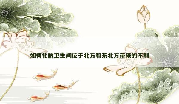 如何化解卫生间位于北方和东北方带来的不利