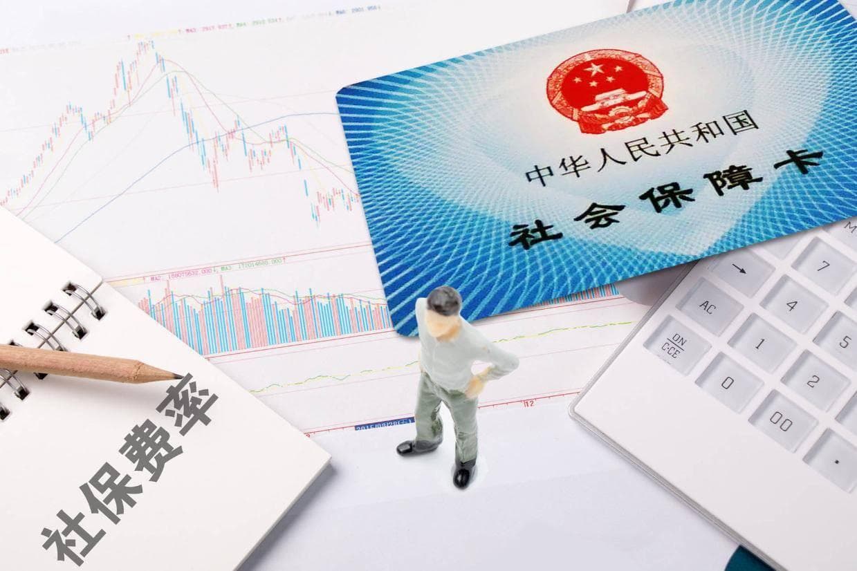 2025 年的社保一次性补缴政策有哪些新变化？个人又该怎么补缴社保