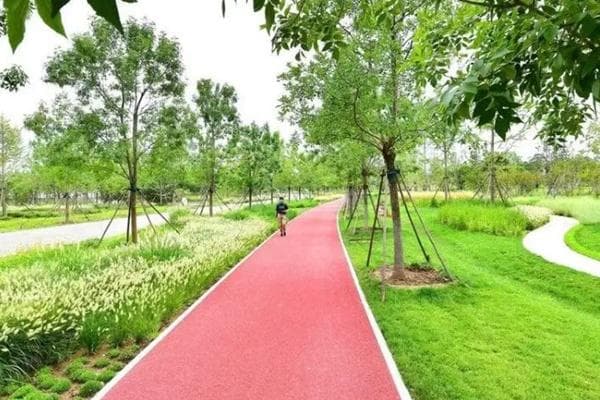 北京通州十大跑步公园推荐：从绿心到运河，尽享运动与自然之美