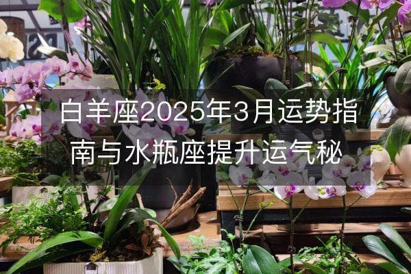 白羊座2025年3月运势指南与水瓶座提升运气秘籍