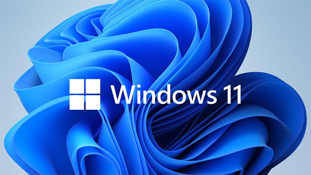 开源免费软件一键瘦身你的Windows系统-Win11Debloat