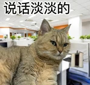“浓人”VS“淡人”，当代年轻人性格标签背后的自我探寻
