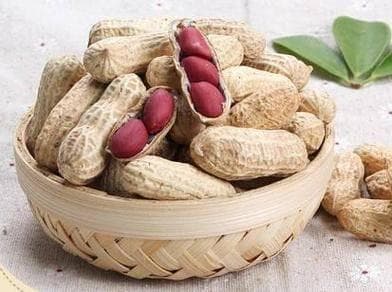 花生这样吃最营养！一文读懂生吃熟吃大不同