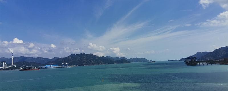 揭秘：某知名药企十年财务舞弊，股价诡异波动背后的真相