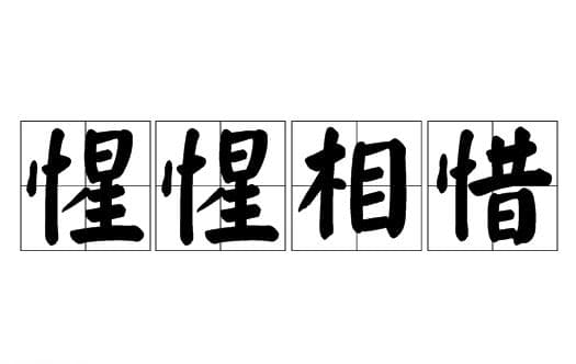 惺惺相惜：从陆游诗句到现代知音情