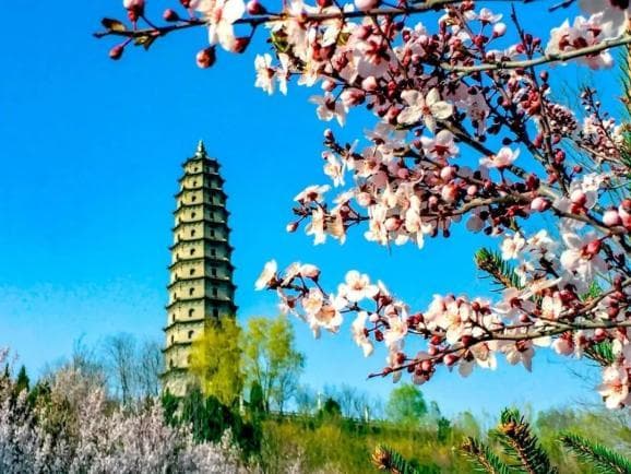 春已到～快来打卡山西这些好风光！