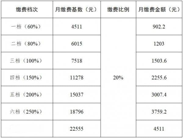 成都灵活就业人员养老保险缴费指南