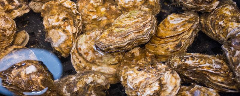 生蚝食用指南：开口现象解析与选购技巧