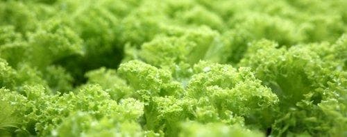 梦见自己被打了一枪周公解梦