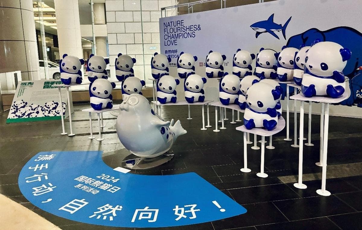 2024国际熊猫日“自然向好”主题活动在全国各地展开