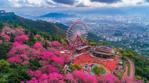 马鞍山旅游全攻略：探秘自然美景与历史文化，冬季必游景点推荐！