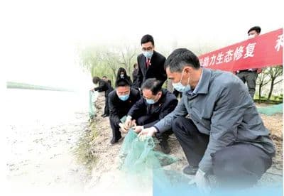 今天，《人民日报》法治头条聚焦云南绿孔雀案