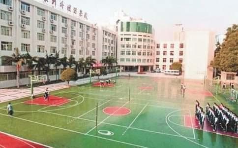 校园欺凌报告制度：预防与处理机制详解