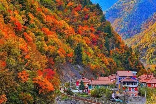 成都周边秋天哪里景色好 成都周边秋天风景好的地方推荐
