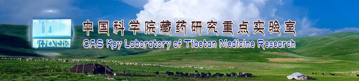 藏药木藤蓼：清热解毒药材，分布于9省区