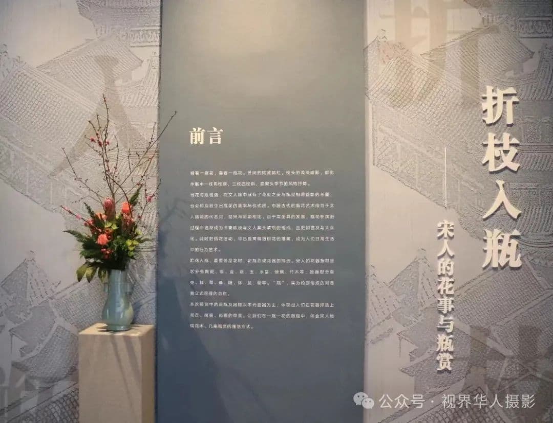 侨视界｜穿越时空的插花艺术之旅