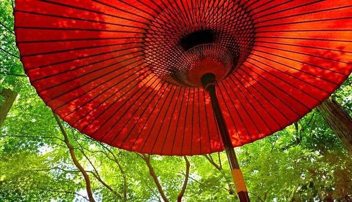 侘寂、空蝉、月之雫是什么意思？一起认识10个诗意日文词