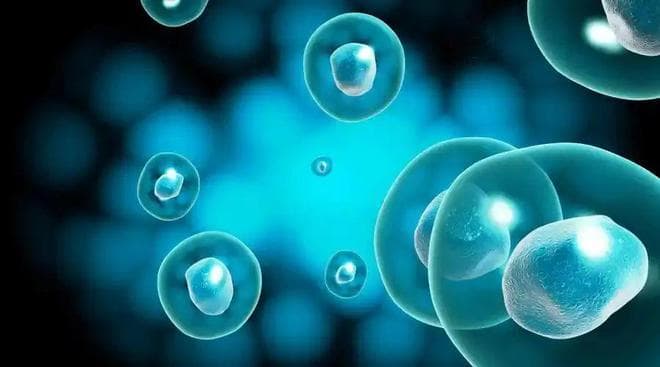 抑制复发和转移！上海交通大学合作发文：有前景的癌症术后策略