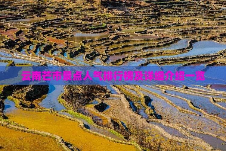 云南芒市景点人气排行榜及详细介绍一览