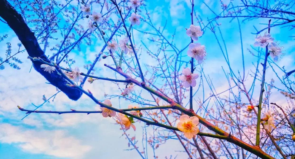 故事情节饱满、结构严谨的写作技法