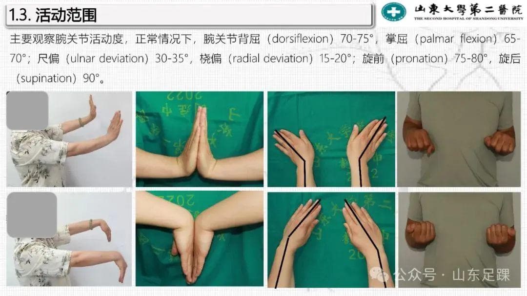 腕关节的临床基本评估方法