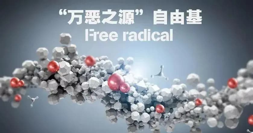 SOD超氧化物歧化酶：对抗辐射的天然守护者