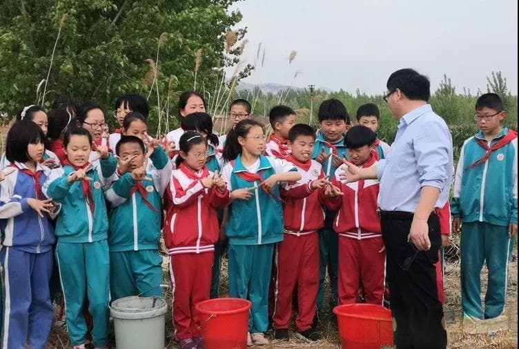 劳动教育如何助力学生成长？“平度经验”值得借鉴