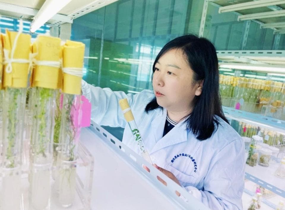 “三八”国际妇女节，两会女性代表委员：充分发挥自身的专业特点和优势