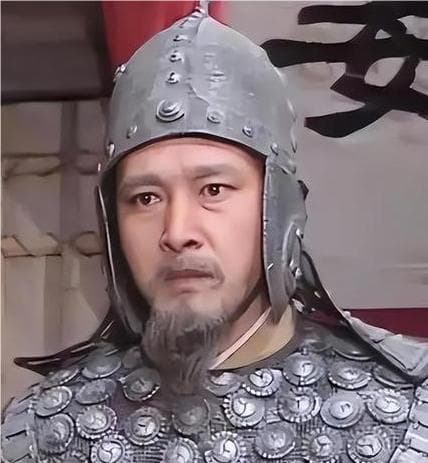 郤正对姜维的评价：三国时期的英才与争议
