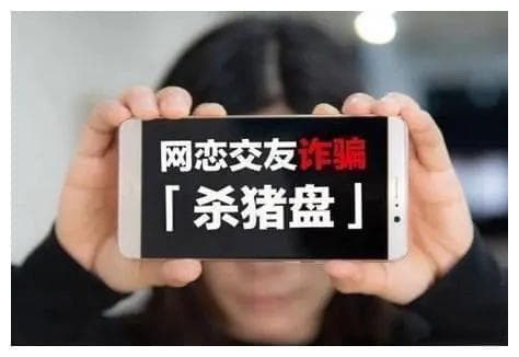 揭秘‘杀猪盘’：为何女性更易成为网络诈骗的牺牲品？