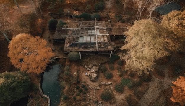 年入百万草鱼养殖秘籍：新手必看的7个暴利技巧