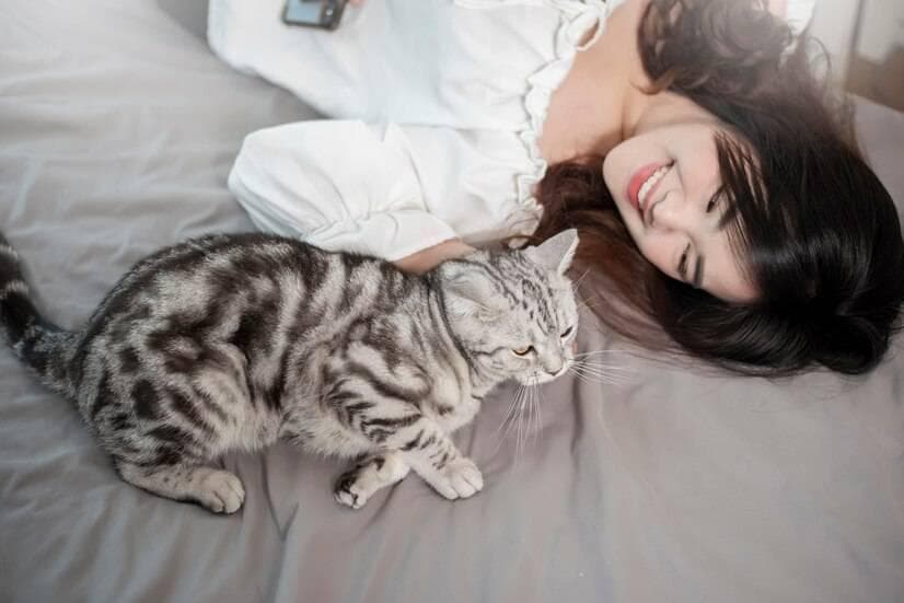 两个月大的猫咪呕吐怎么办？如果是这些原因就别太担心