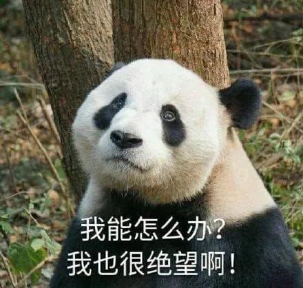 痒痒痒，换季的烦恼？中医治疗有方法！