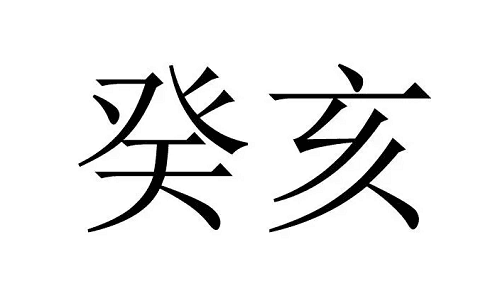 癸亥日柱解析：从五行到运势的全方位解读