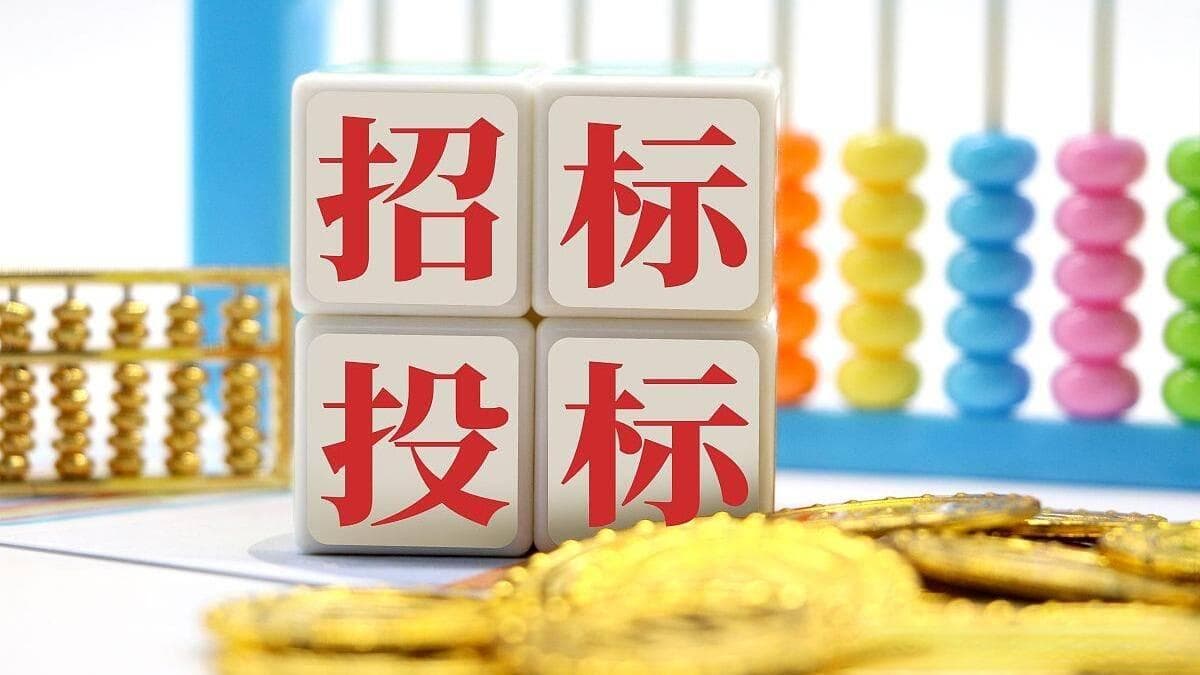 如何判断投标内容的真实性与合法性？