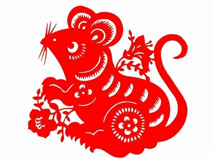 鼠生肖最聪明的出生时辰