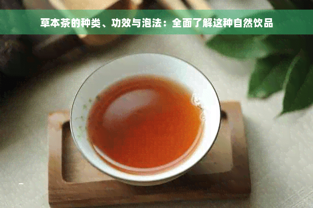 草本茶的种类、功效与泡法：全面了解这种自然饮品