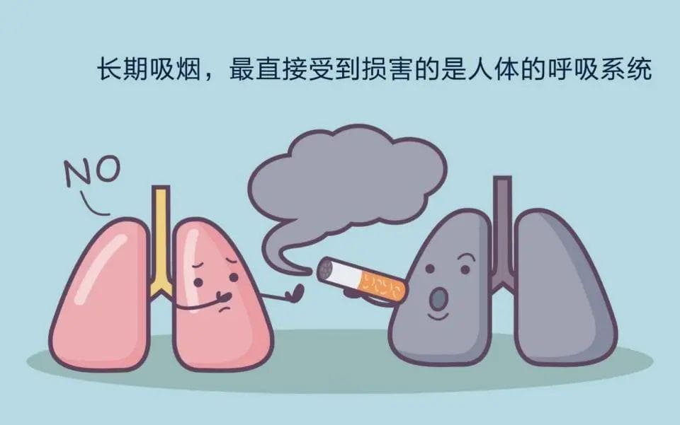 科学研究证实：吸烟对健康的多重危害